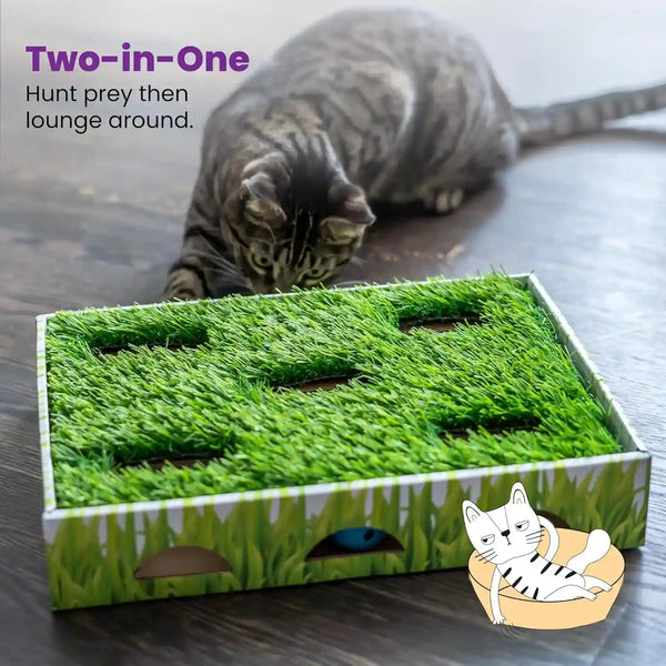 Catstages Grass Patch Hunting Box - Interactive Indoor Cat Toy with Faux Grass & 3 Jingle Balls - Encourages Exercise, Mental Stimulation & Natural Hunting Instincts7