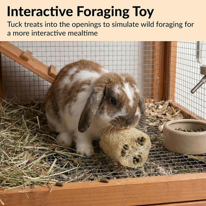 11 Pcs Rabbit Chew Toys, Interactive Bunny Foraging Toy, Natural Materials, Loofah Sponges, Seagrass Balls, Dental Cleaning, Relieve Stress5