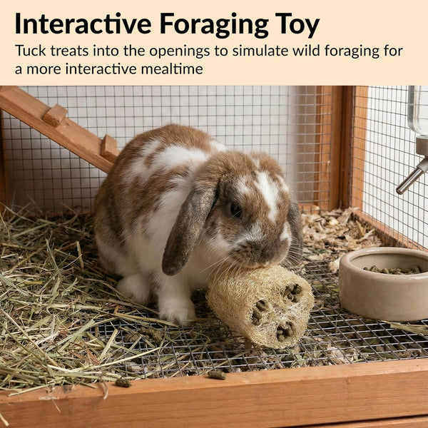 11 Pcs Rabbit Chew Toys, Interactive Bunny Foraging Toy, Natural Materials, Loofah Sponges, Seagrass Balls, Dental Cleaning, Relieve Stress5
