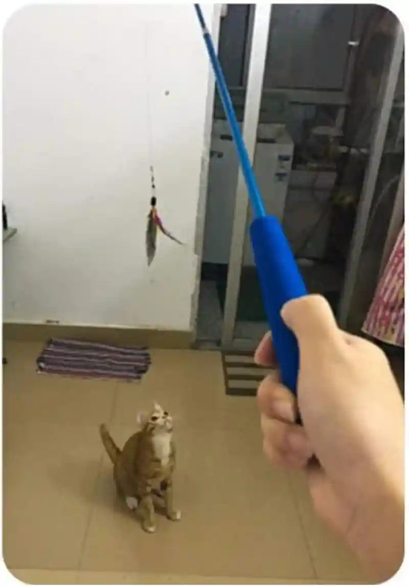 retractable-cat-wand-interactive-3-section-teaser-toy-fishing-pole-exerciser-for-cats-and-kittens-replacement-not-included