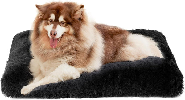 EHEYCIGA Fluffy Dog Crate Bed for Extra Large Dogs, Plush Faux Fur Pad, Calming anti Anxiety XL Bed for Crate, Washable Soft Warm Dog Mat with Non-Slip Bottom, Grey9