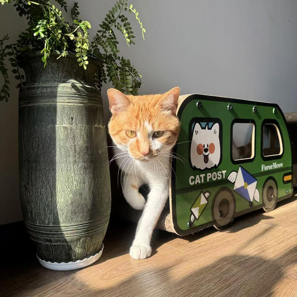 Cat Scratching House, Cat Cardboard House Green Bus, Long Scratching Post, 9X11.8X22 Inches, Fun Cube & Tunnel, Peekaboo Hideaway for Indoor Cats9