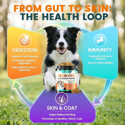Probiotics for Dogs, Gut Health for Digestive Enzymes, 200 Chews | All Natural Probiotic Blend to Support Yeast, Itchy Skin and Itchy Ears, Allergies, Immunity, Diarrhea & Gas Relief, Chicken5