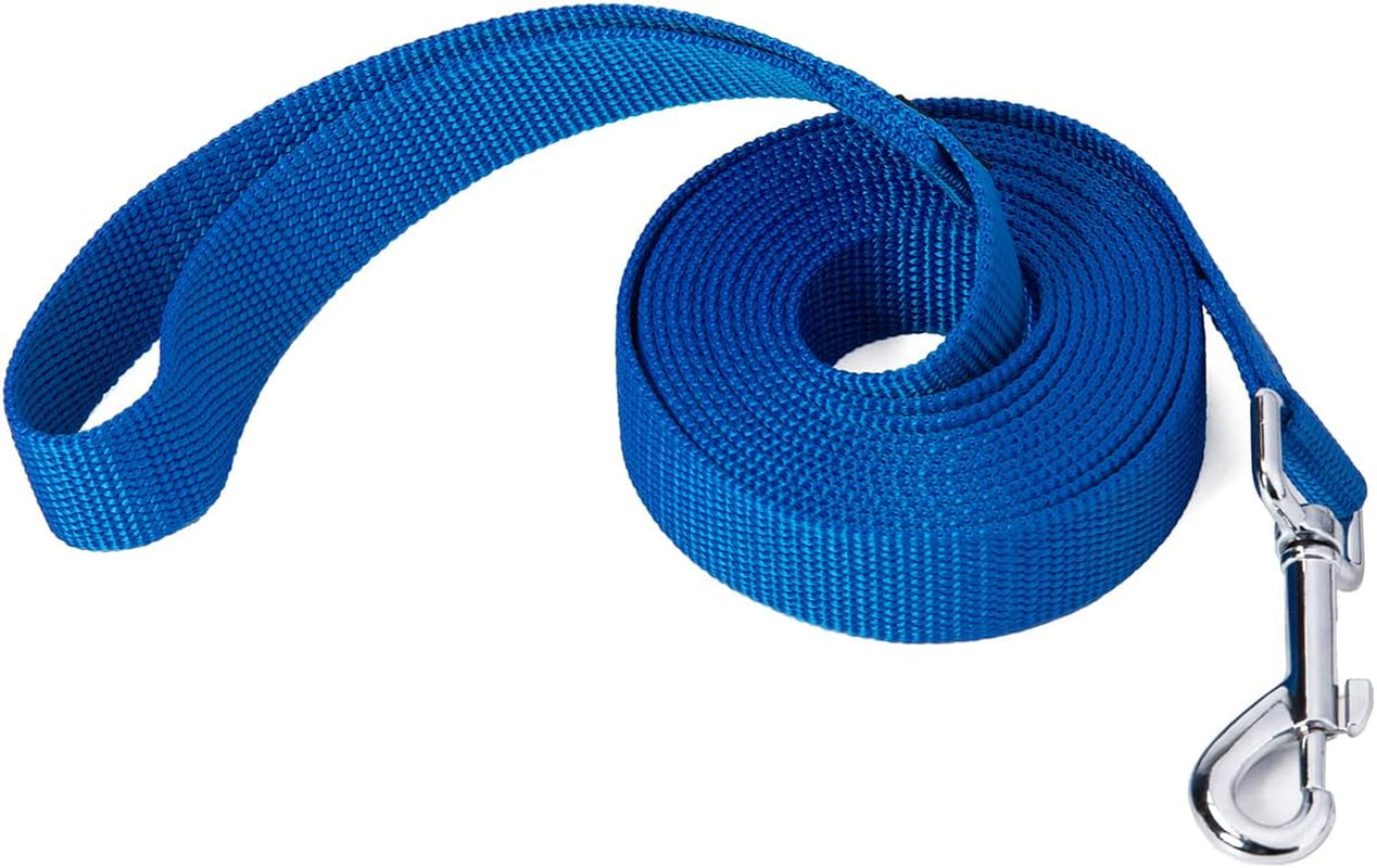 strong-durable-nylon-10ft-long-dog-training-leash-traction-rope-1-inch-wide-for-small-and-medium-dog-black-10-feet