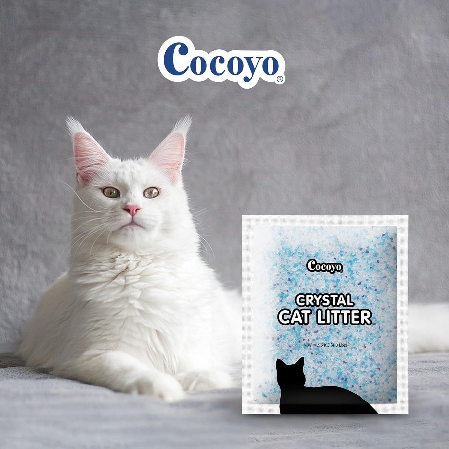 cocoyo-crystal-cat-litter-i-silica-gel-cat-litter-17-2-lbs-value-pack-4-3-lbs-x-4