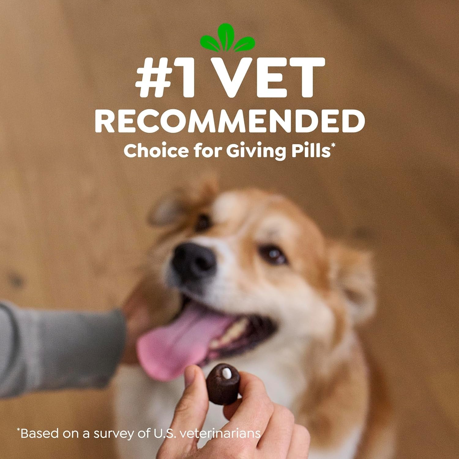 greenies-pill-pockets-large-size-dog-treats-peanut-butter-15-8-oz-vet-recommended-capsule-size-low-calorie-odor-masking-stress-and-mess-free-medication-experience