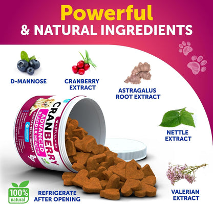 Dog UT Treats - Cranberry Chews for Dogs - Urinary Tract & Bladder Support Supplement with Natural Cranberry Extract - Tasty 120 Soft Bites for Daily Wellness with Fish Oil, Pumpkin, D-Mannose4