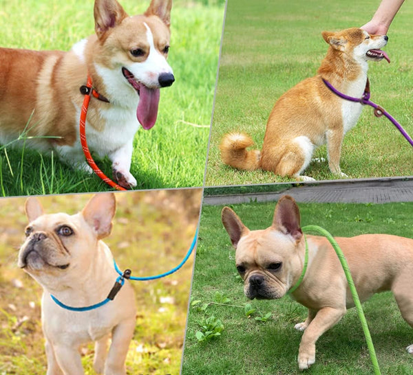 Wyuze 8FT Slip Lead Dog Leash Adjustable Slip Collar Puppy Training Lead | 2 Pack 1/3" Reflective Rope Leash, Lightweight Easy Use for Small Medium Dogs, No-Pull Walking, Black Orange7