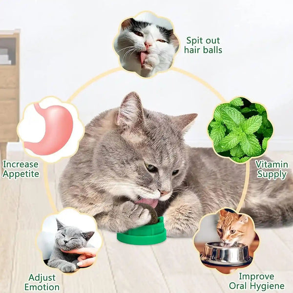 3 Pack Catnip Balls, Catnip Ball for Cats Wall, Edible Kitty Toys for Cats Lick, Safe Healthy Kitten Chew Toys, Teeth Cleaning Dental Cat Toys, Cat Wall Treats (1, Green)3