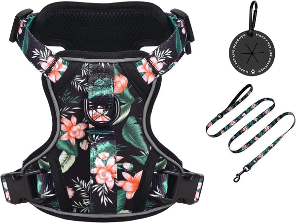 Petmolico No Pull Cute Dog Harness Reflective, Light Blue, Small | Set Includes Leash & Waste Bag Holder, 2 Clips & Handle, Soft Comfy Fit, Adjustable, Ideal for Daily Walks & Travel12