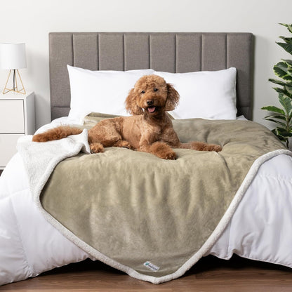 Petami Waterproof Dog Blanket for Couch, Extra Large 80X60, Pee Proof Sherpa Fleece Reversible Pet Throw, Furniture Protector for Bed Sofa Crate Kennel, Soft Washable Cover for Dog Cat, Grey Sherpa23