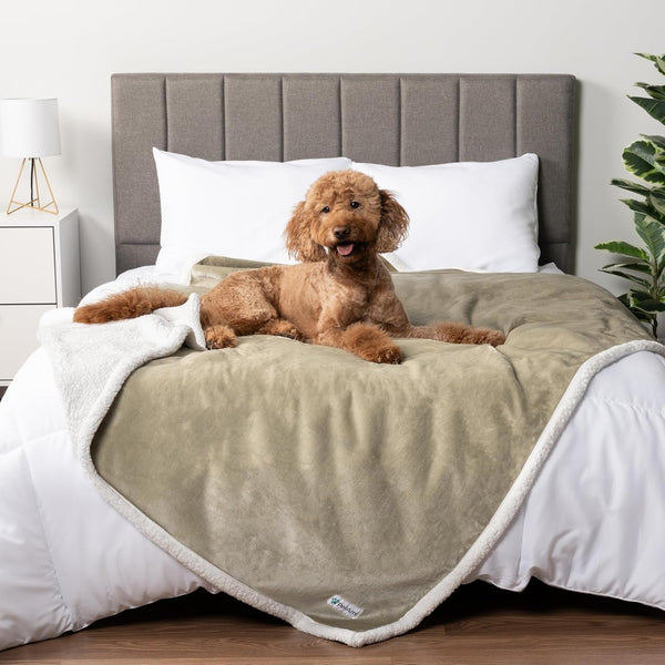 Petami Waterproof Dog Blanket for Couch, Extra Large 80X60, Pee Proof Sherpa Fleece Reversible Pet Throw, Furniture Protector for Bed Sofa Crate Kennel, Soft Washable Cover for Dog Cat, Grey Sherpa23