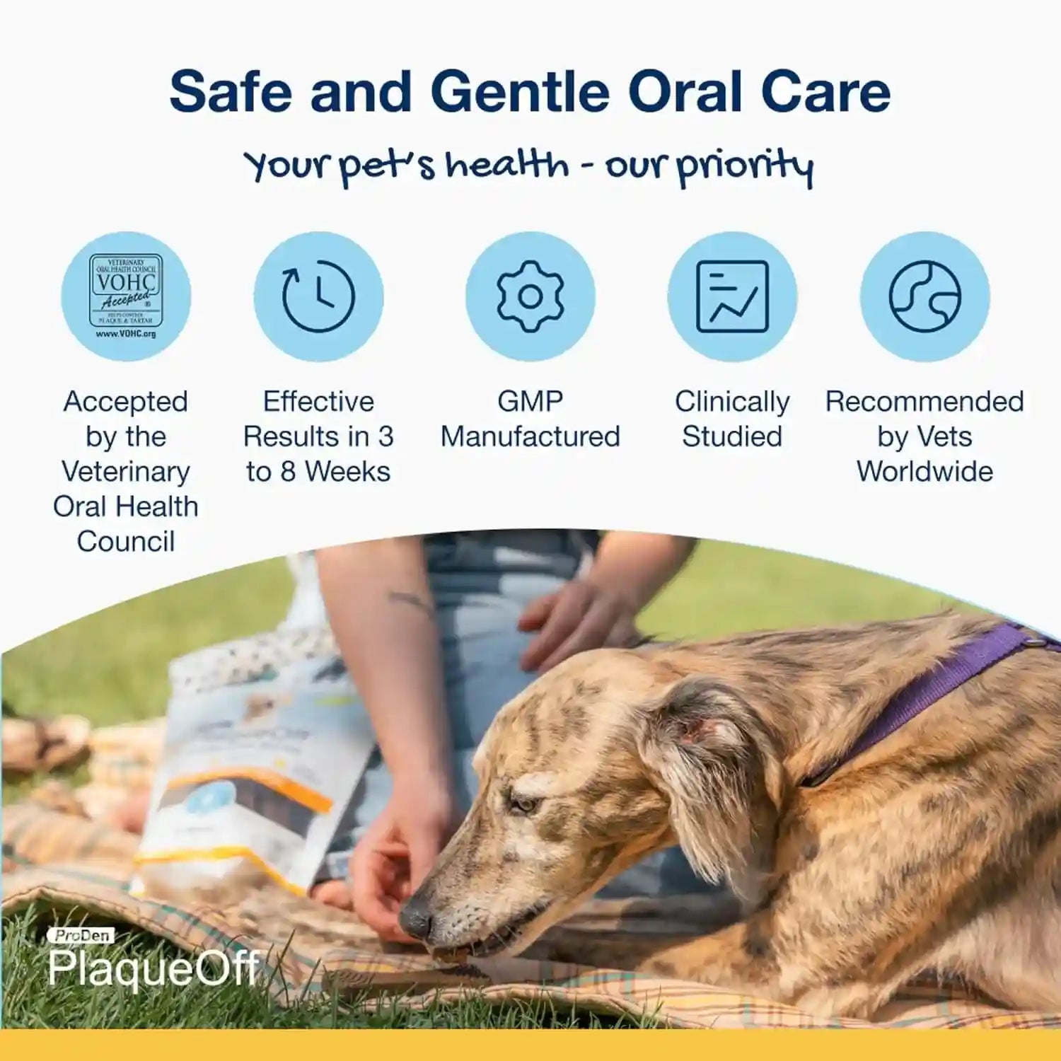 proden-plaqueoff-system-dental-care-bones-dog-teeth-cleaning-bones-for-oral-hygiene-medium-large-canine-formula-bacon-flavor-17-ozpackaging-may-vary-dog-teeth-cleaning-chews-for-fresher-breath-vohc-approved-dental-chews-to-reduce-plaque-tartar-medium-to-large-breeds