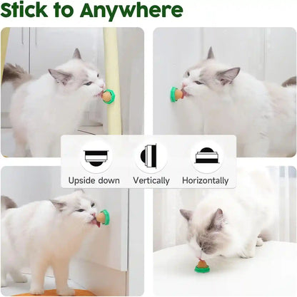 Potaroma 6 Pack Cat Energy Ball Toys, Includes Catnip for Cats Lick | Edible Kitty Toys, Safe Healthy Kitten Chew Toys, Teeth Cleaning Dental Cat Toy, Cat Wall Treats6