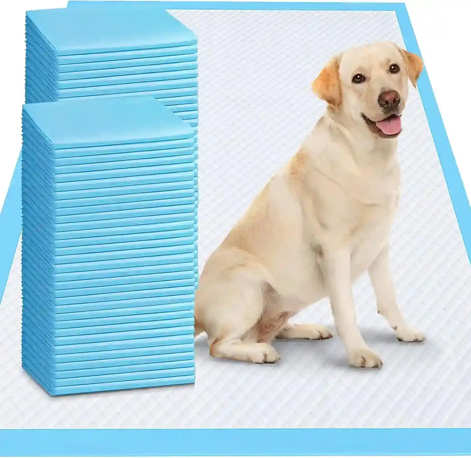happy-dog-sitting-on-absorbent-pet-pads-with-blue-packaging