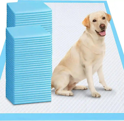 Happy dog sitting on absorbent pet pads with blue packaging9
