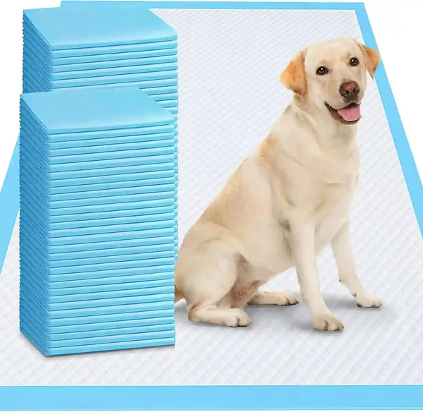 Happy dog sitting on absorbent pet pads with blue packaging9