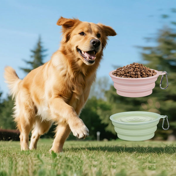 2-Pack Portable Pet Bowls, 12OZ Collapsible Dog & Cat Water Bowl with Hook | Bpa-Free Leak-Proof Foldable Food Dish for Small Medium Pets, Travel, Camping Daily Indoor&Outdoor Essentials5