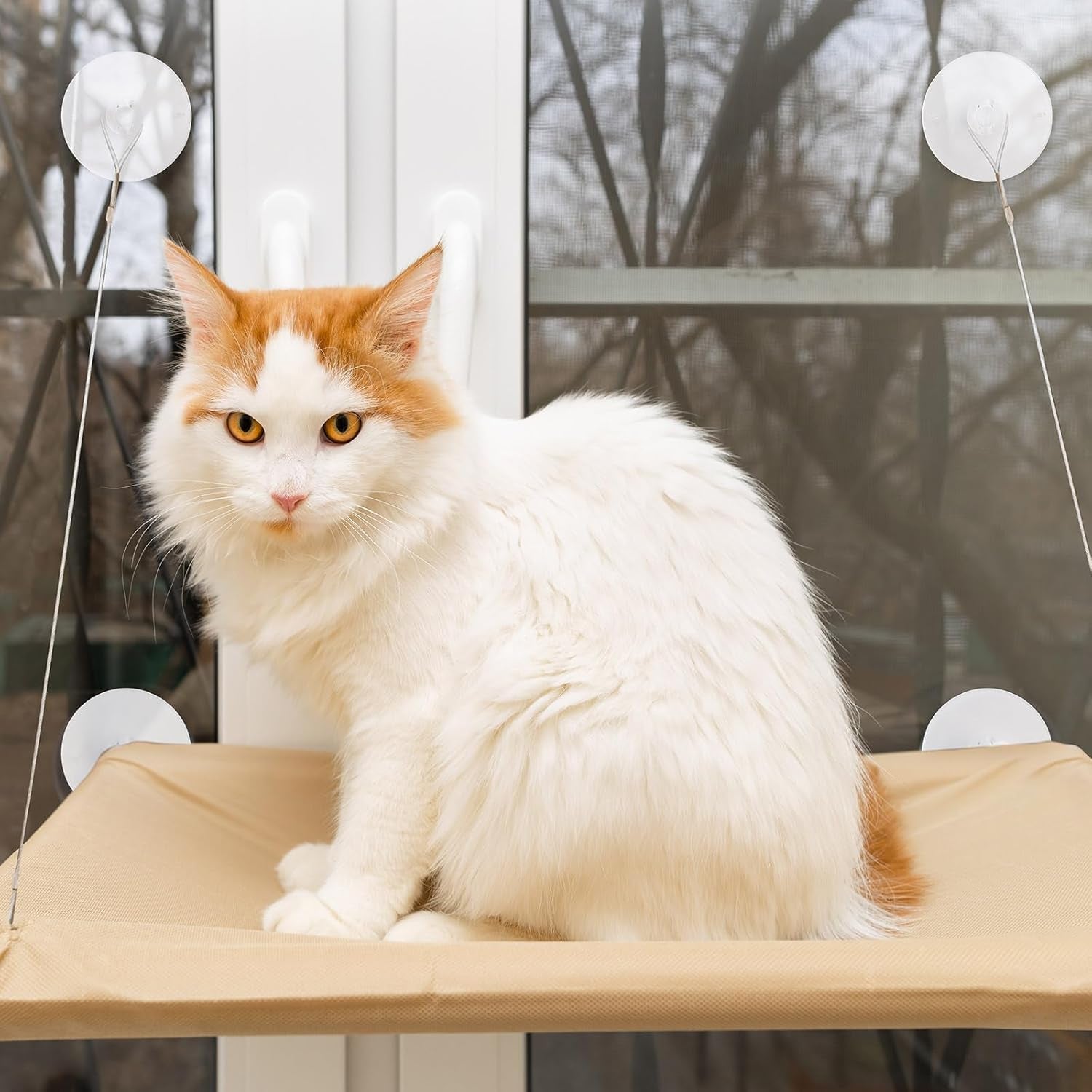 4-pieces-cat-window-perch-suction-cup-powerful-cat-window-bed-seat-replacement-suction-cup-clear-pvc-sucker-pads-2-styles