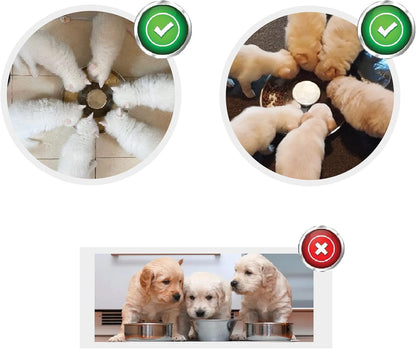 Puppy Dog Bowl, Stainless Steel Multiple Puppies Feeder, Dogs Basic Food and Water Bowls Weaning Dish for Small, Medium and Large Dogs Pets4