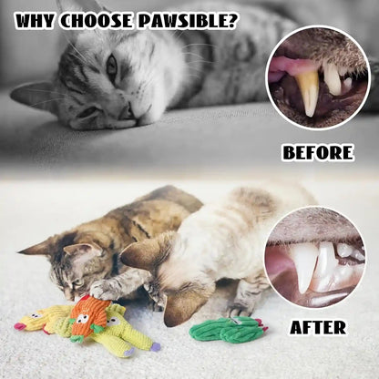 Cactus Catnip Toys, 100% Pure Organic Catnip-Filled Toys without Cotton | 5 Pack Interactive Kitten Toy for Anxiety Relief, Soft Cute Teething &Chew Toys for Indoor Cats5