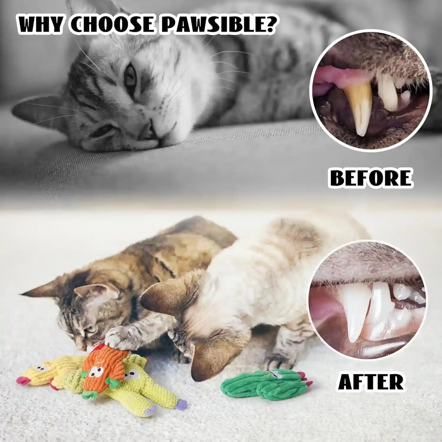cactus-catnip-toys-100-pure-organic-catnip-filled-toys-without-cotton-5-pack-interactive-kitten-toy-for-anxiety-relief-soft-cute-teething-chew-toys-for-indoor-cats