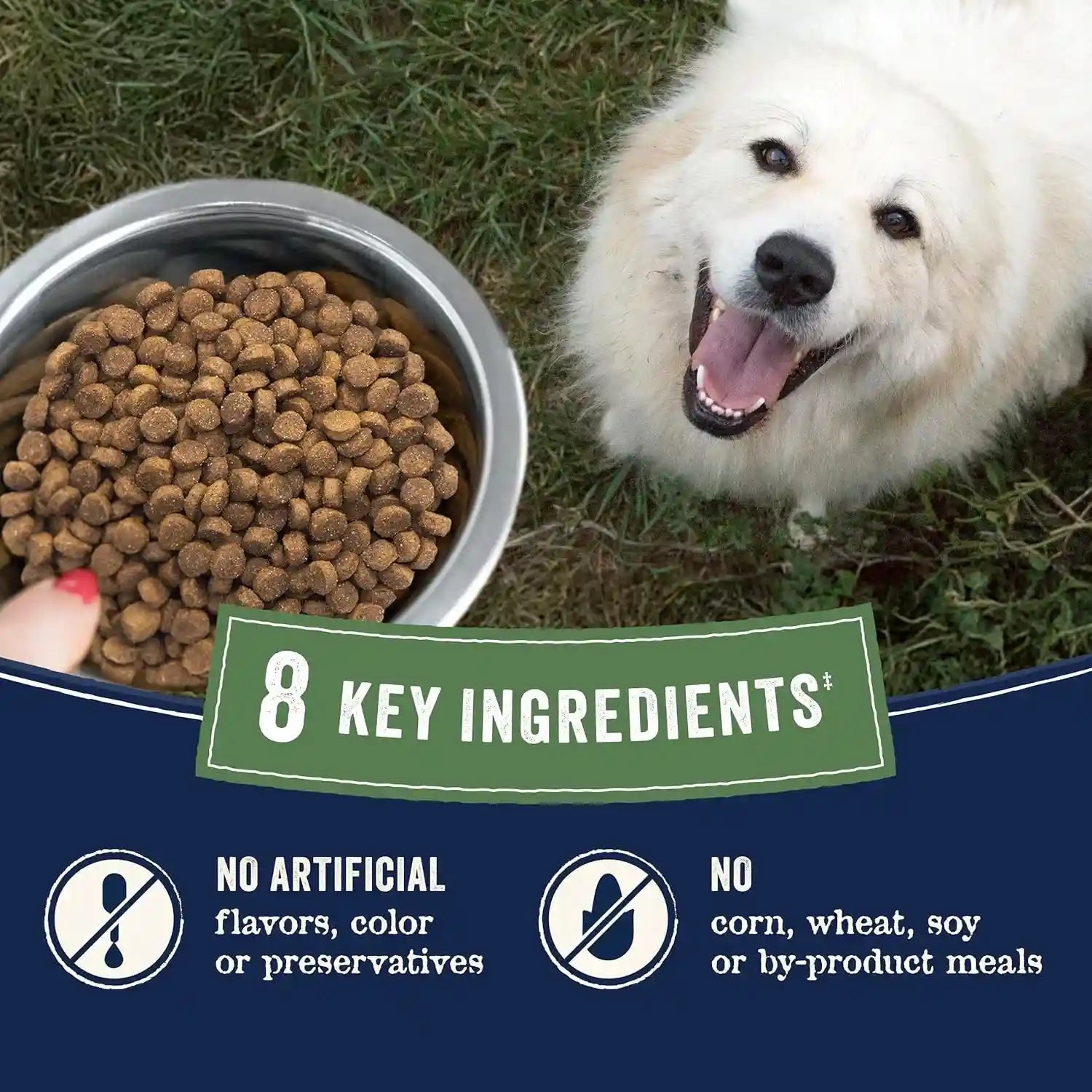 canidae-pure-farm-to-bowl-dry-dog-food-balanced-nutrition-for-adult-dogs-limited-ingredient-formula-grain-wheat-soy-free-22-lb-wild-caught-salmon-sweet-potato-recipe