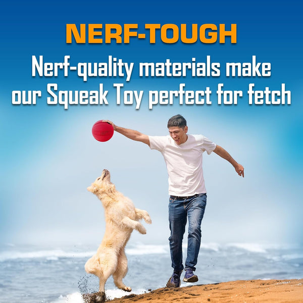 Nerf Dog Classic Squeak Ball Outdoor Dog Toy, 3.8 Inch Dog Ball Fetch Toy, Squeaking Toy for Medium and Large Breeds, Green/Red, 2 Count5