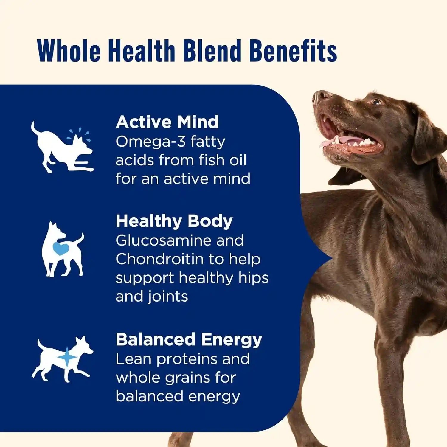 nutrish-large-breed-dry-dog-food-with-beef-40-lb-bag-rachael-ray-pea-carrot-brown-rice-recipe-made-with-real-protein-to-support-lean-muscle-mass-healthy-organs