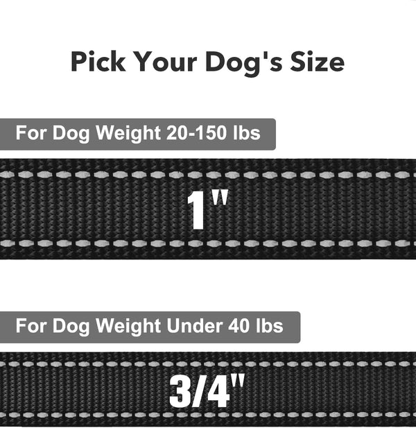 Taglory Reflective Dog Leash for Small Dogs, 3/4In X 6Ft, Black | Ideal for Night Walking, Strong for Sudden Pulls, Lightweight & Gentle on the Neck, Soft Padded Handle4