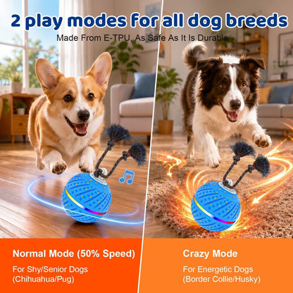 Smart Interactive Dog Toys Ball for Aggressive Chewers Medium Large,E-Tpu | Auto-Moving & Bouncing Ball, 2 Modes with RGB Lights & Bird Sounds,Bite-Resistant Rope, IP54 Waterproof, Type-C Fast Charge6