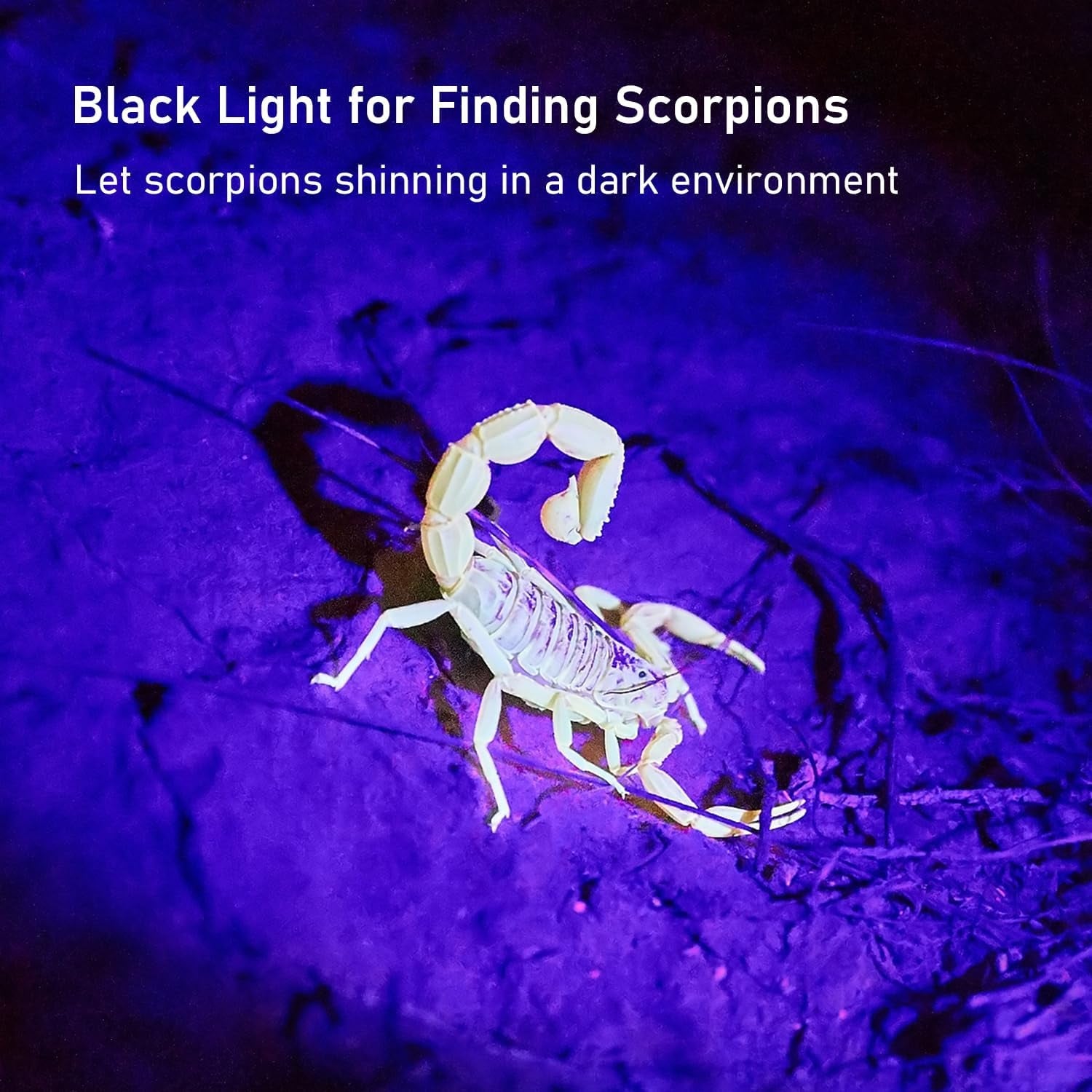glossday-uv-flashlight-black-light-100-led-black-light-flashlight-for-dog-cat-pet-detector-scorpions-finder