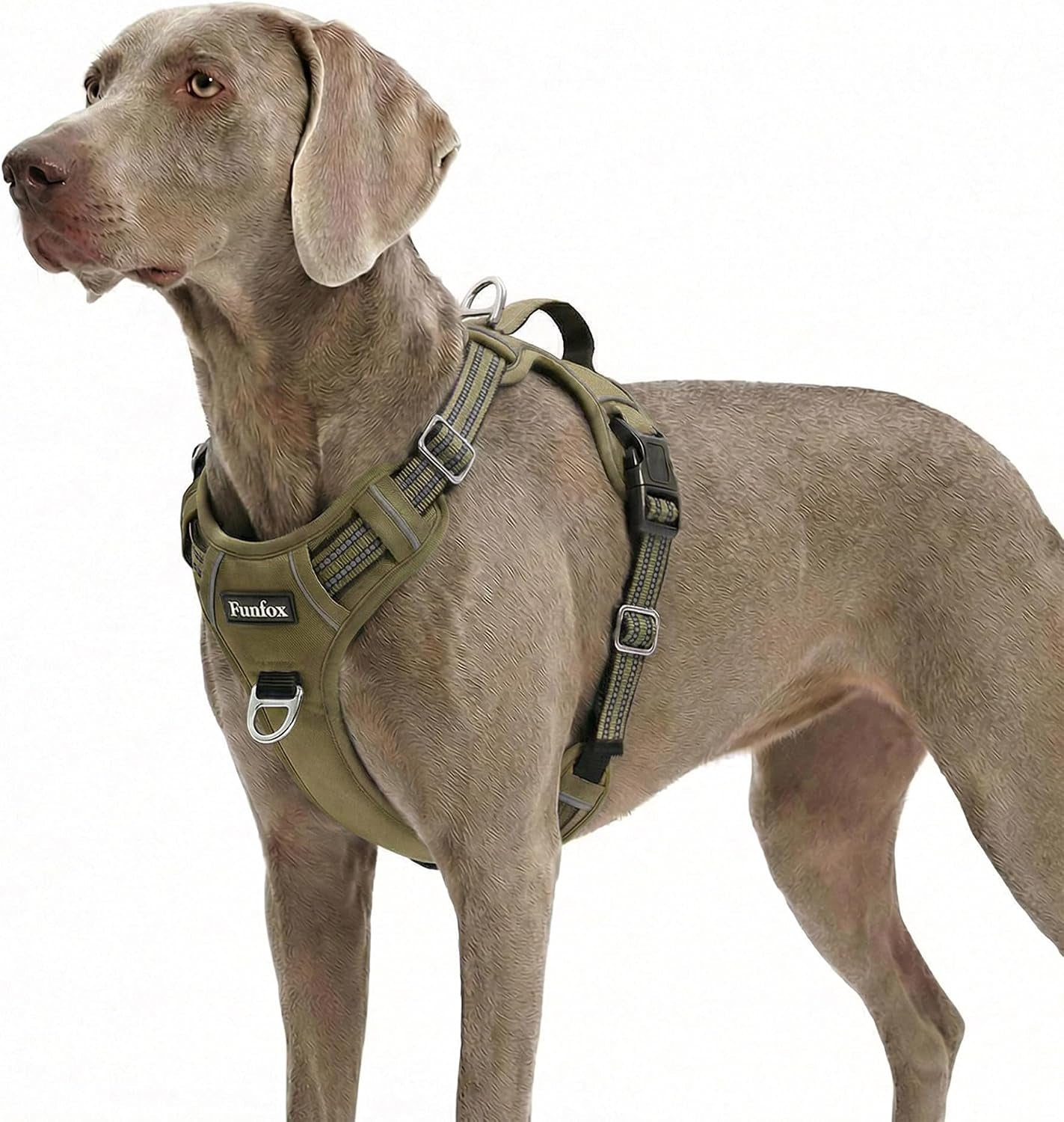 funfox-dog-harness-medium-sized-dog-vertical-handle-easy-control-no-pull-pet-vest-adjustable-with-2-leash-clips-soft-material-reflective-safe-night-walking-for-small-medium-large-breed-black-m