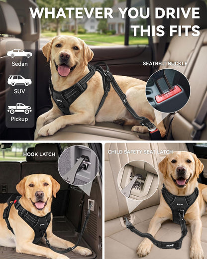Joytale 3-In-1 Bungee Dog Seat Belt for Car, Medium and Large Dogs, Black | Seatbelt Buckle, LATCH, Cargo Hook, Shock-Absorbing, 360° Swivel Slide-To-Lock Zinc Buckle, for Distraction-Free Driving2