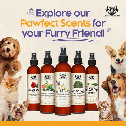 Dog Perfume Spray Long Lasting Chamomile & Lavender 8 Fl Oz, Dog Cologne Spray Long Lasting for Groomers, Calming Deodorizer Perfume for Dogs, Pet Puppy Deodorizing Fragrance by Gerrard Larriett6