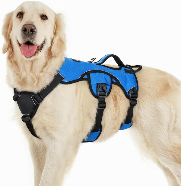 Rabbitgoo Escape Proof Dog Harness for Large, No Pull with Lift Handle | No Escape, Full Soft Padded, Reflective Adjustable Vest, Leash Clip for Walking Hiking Training, Black, Large11