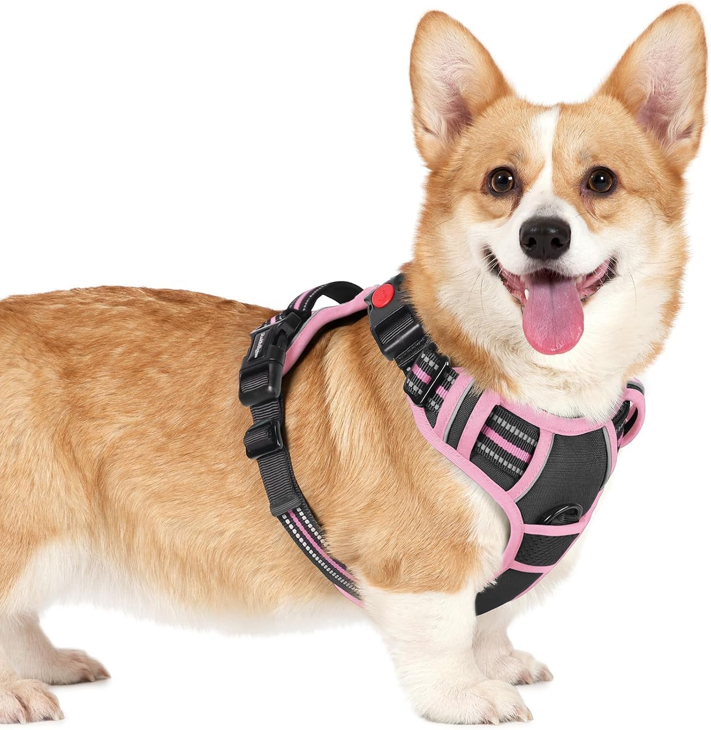 rabbitgoo-dog-harness-medium-sized-updated-easy-on-off-with-3-buckles-no-pull-no-choke-walking-with-2-clips-and-handle-adjustable-soft-reflective-blue-medium