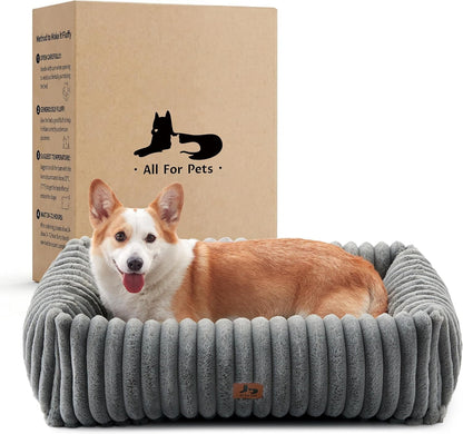 Cute Dog Bed for Small Dogs & Cats,Washable Fluffy Cat Beds for Indoor Cats, Rectangle Orthopedic Memory Foam Puppy Beds with Anti-Slip Bottom, 20 X19 X 7 Inches, Cream(20X19X6Inchs)10