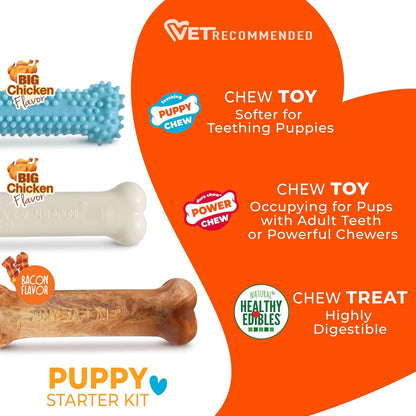 Nylabone Puppy Starter Kit, Dog Chew Toys & Chew Treat, Blue, 3 Count | Small Breeds, Chicken & Bacon Flavor, 2 Chew Toys, 1 Natural Treat, Teething Toys for Puppies, Puppy Enrichment, up to 25 Lbs4