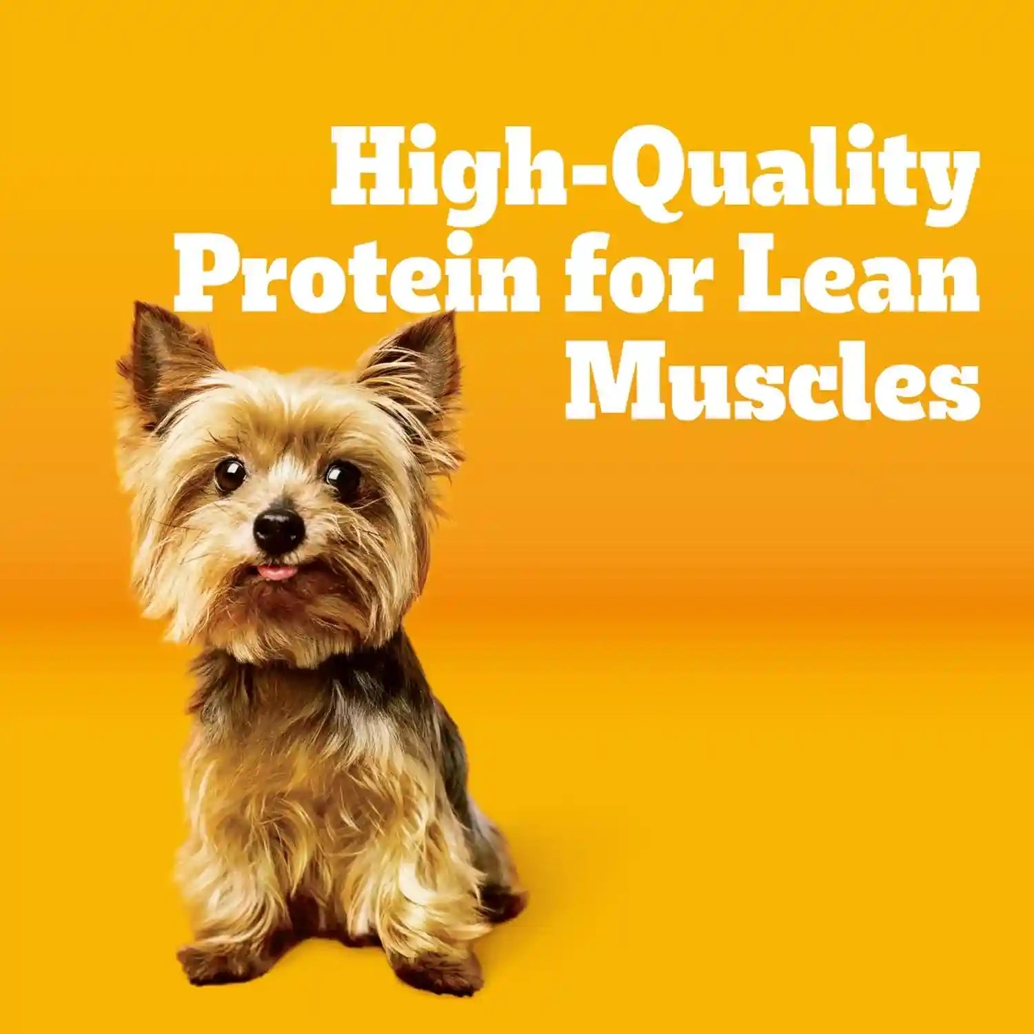 pedigree-tender-bites-small-dogs-dry-dog-food-chicken-steak-14-lb-36-vitamins-minerals-amino-acids-quality-protein-for-lean-muscle-natural-fiber-for-digestion-highly-digestible
