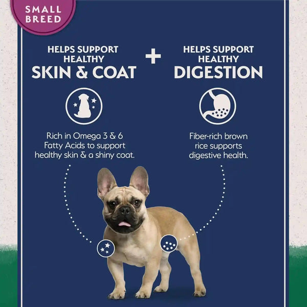 Natural Balance Limited Ingredient Small Breed Dry Dog Food - Complete Nutrition for Small Breeds - Wholesome Grains Brown Rice Recipe - Limited Ingredient Formula - 12 Lb - Lamb & Brown Rice3