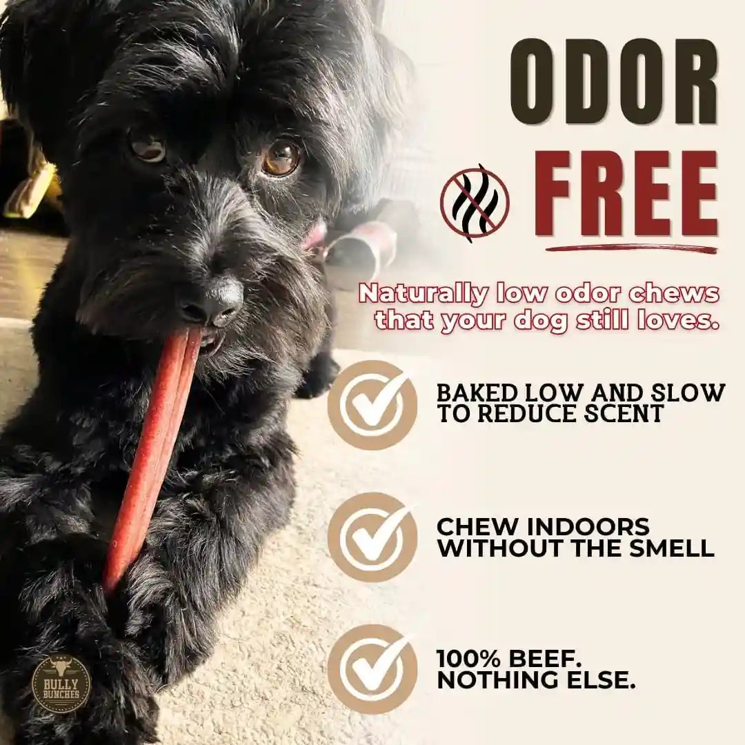 bully-bunches-premium-6-standard-5-pack-odor-free-bully-sticks-for-small-to-medium-dogs-puppies-consistently-sized-long-lasting-chews-for-oral-care-all-natural-100-beef-dog-treats