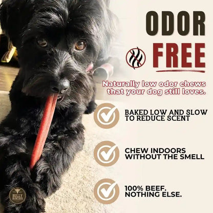 Bully Bunches Premium (6" Standard - 5 Pack) Odor-Free Bully Sticks for Small to Medium Dogs & Puppies - Consistently Sized, Long Lasting Chews for Oral Care - All Natural, 100% Beef Dog Treats4