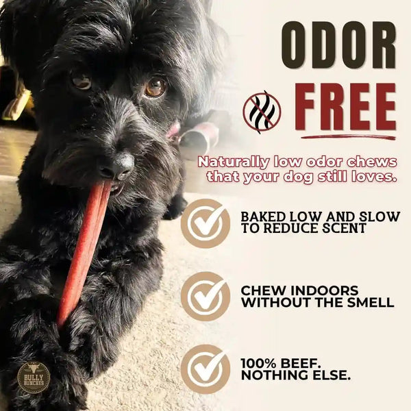 Bully Bunches Premium (6" Standard - 5 Pack) Odor-Free Bully Sticks for Small to Medium Dogs & Puppies - Consistently Sized, Long Lasting Chews for Oral Care - All Natural, 100% Beef Dog Treats4