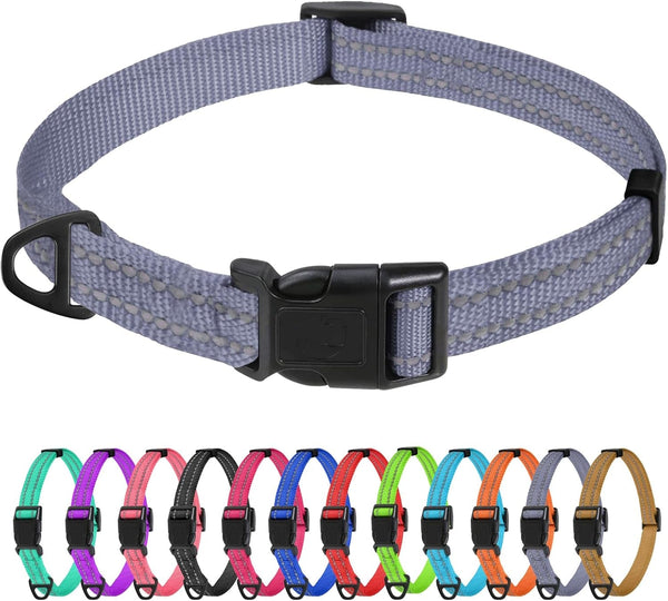 Tagme Small Dog Collar, Reflective Puppy Collar, Sky Blue, 3/8" Width | Lightweight, Nylon Collar for Puppies, Chihuahua, Yorkie & Teacup Dogs 5-15 Lbs, Reflective for Evening Walks, 12 Colors48