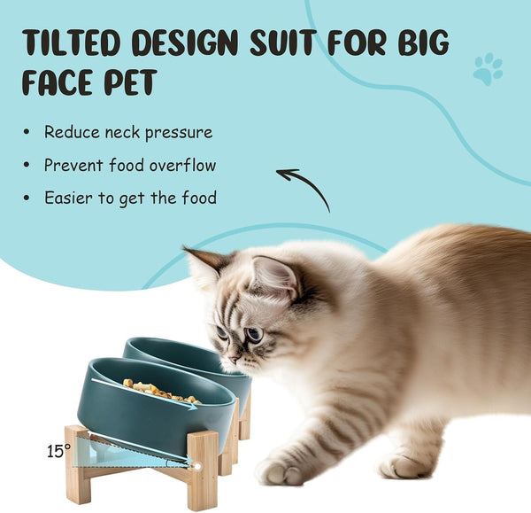 SPUNKYJUNKY 15° Slanted Ceramic Dog and Cat Bowl with Wooden Stand, Tilted Bulldog Food and Water Bowl No Slip Non-Spill for Cats Medium Dogs Big Face Pets 13.5 OZ (1.7 Cups, Green × 2)2
