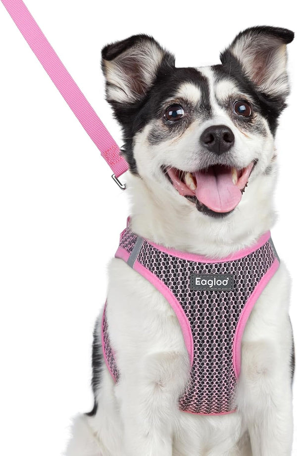 Eagloo Small Dog Harness and Leash Set, Step in Small Sized Puppy Pet Vest | Light, Soft, Breathable Air Mesh, Easy on and off with Hook & Loop, Reflective for Safe Walking, Pink, S14