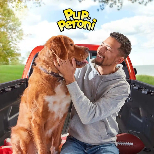 Pup-Peroni Original Beef Recipe Dog Treats, 22.5 Oz. Bag6