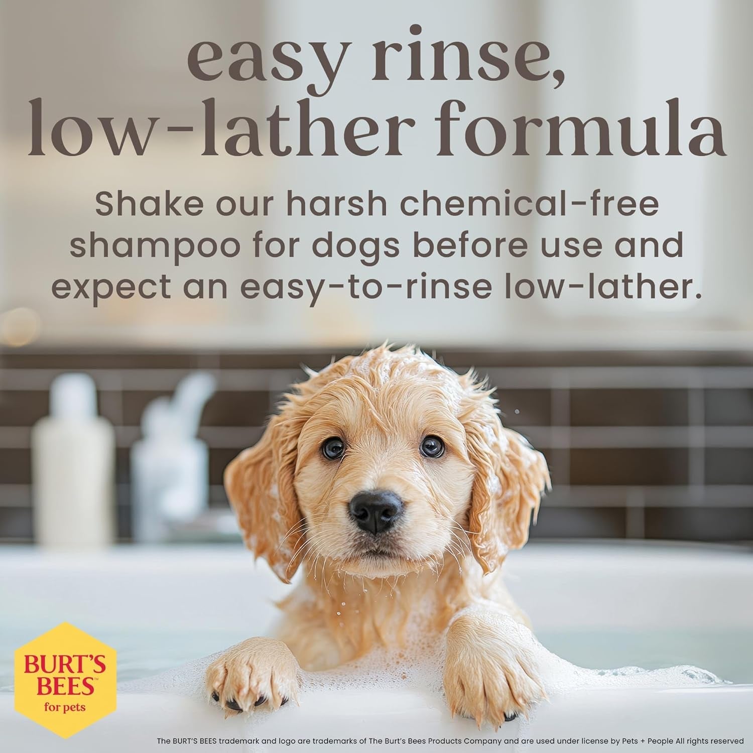 burt-s-bees-for-pets-tear-free-puppy-shampoo-conditioner-with-buttermilk-2-in-1-gentle-dog-shampoo-for-puppies-cleans-and-conditions-sensitive-skin-16-fl-oz-gentle-2-in-1-formula-cleans-and-conditions-sensitive-puppy-skin-and-coat-tearless-for-easy-bath-time