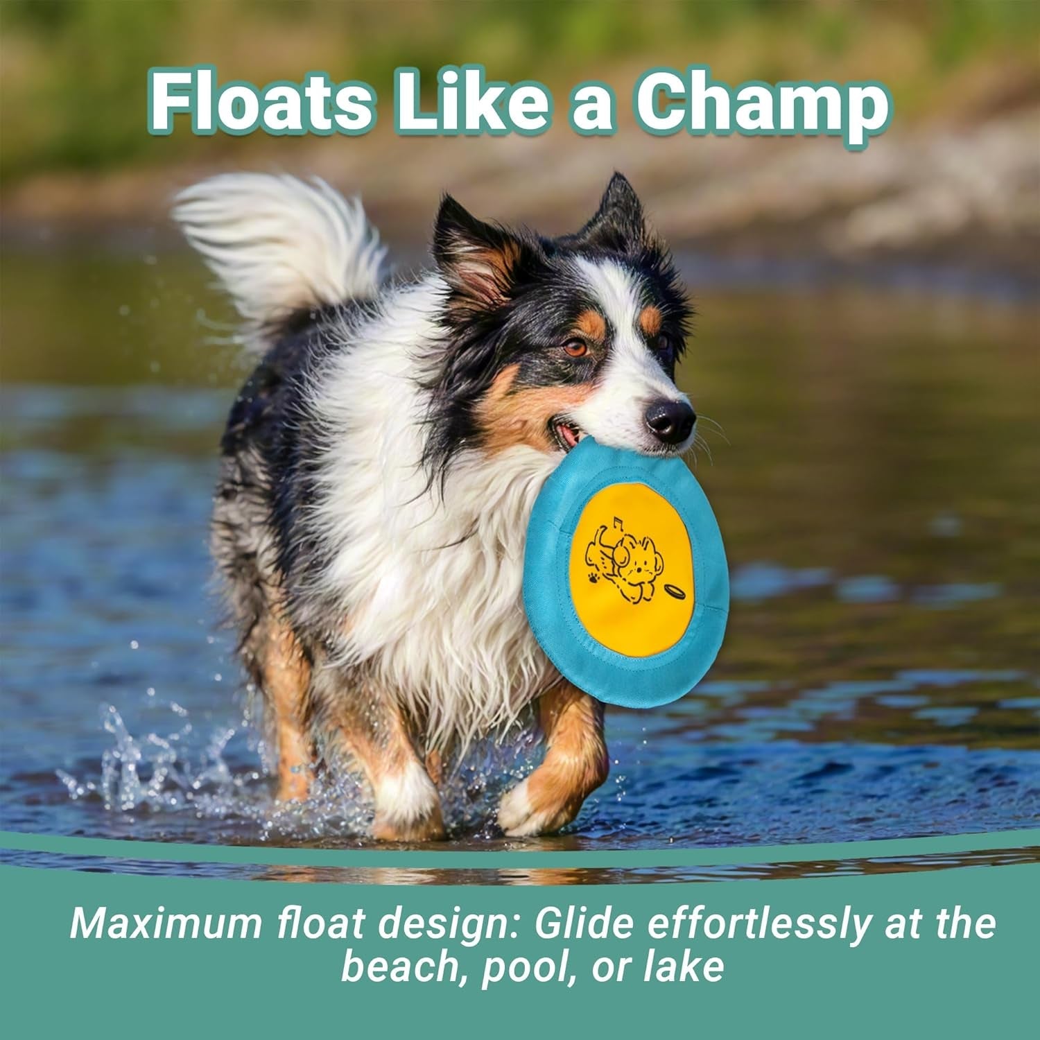 bifeaw-3-packs-nylon-interactive-dog-flying-disc-floating-dog-toys-for-aggressive-chewers-water-toys-for-dogs-blue-and-yellow
